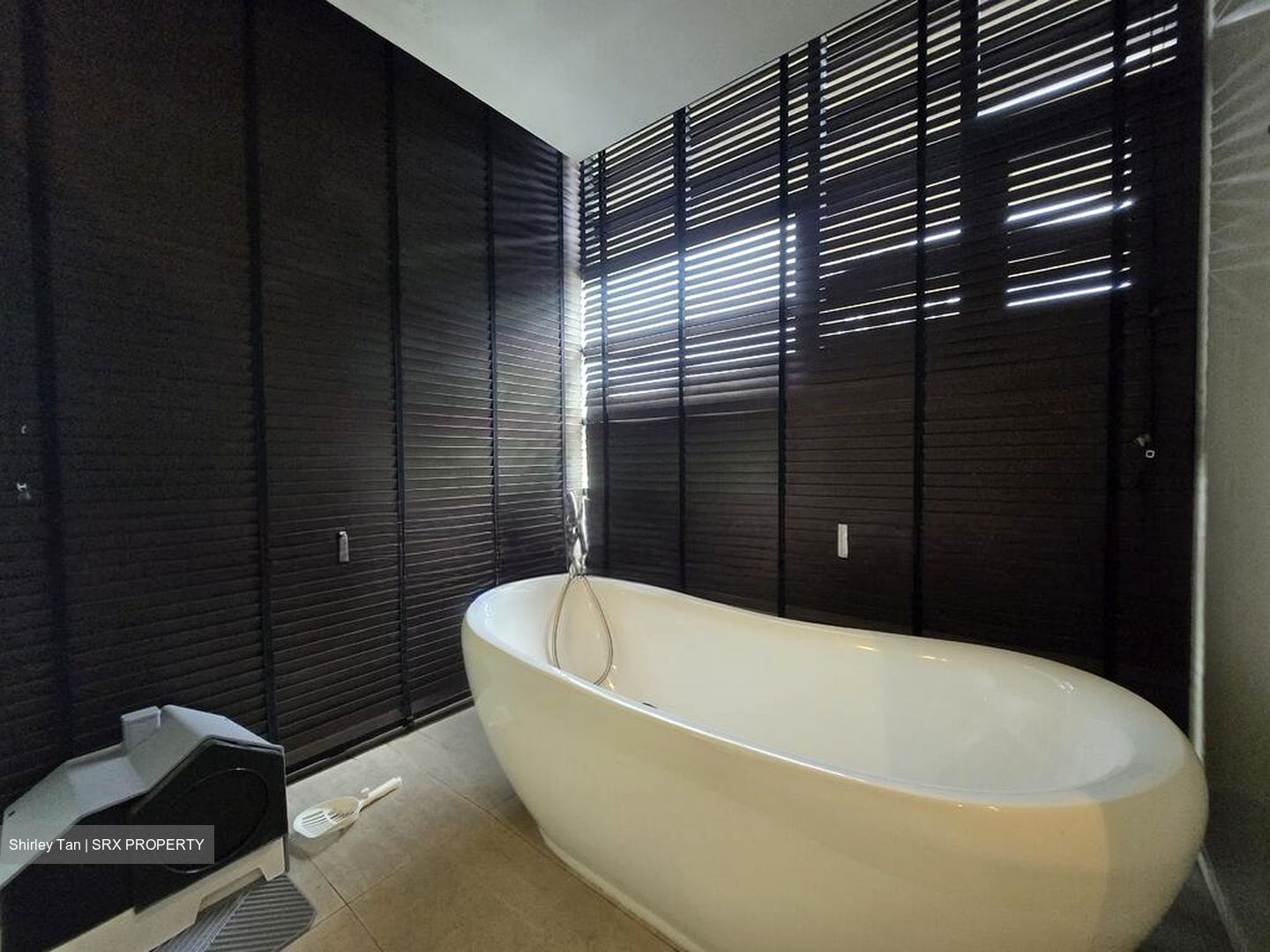 Serangoon Avenue 2 (D19), Semi-Detached #586767861